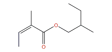 2-Methylbutyl (Z)-2-methyl-2-butenoate